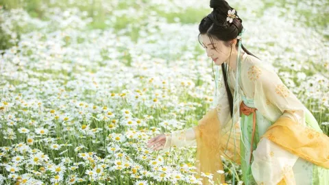 人均粮食500公斤